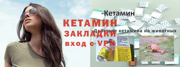 крисы Армянск