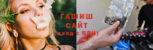 крисы Армянск