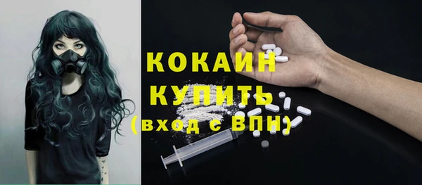 прущий лед Тихвин