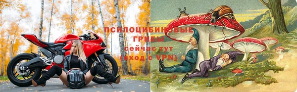 амф Аркадак