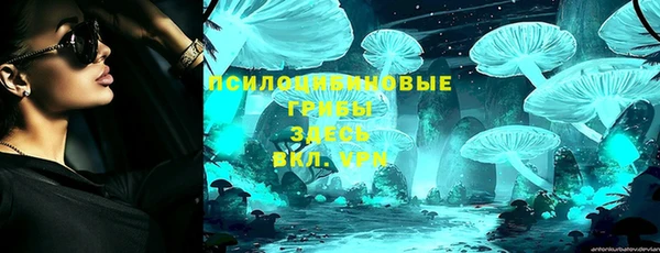 гидра Алексин
